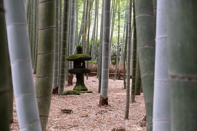 Private Tour in Kamakura: Matcha Tea Tasting & Photo Session - Bus transfers and timing: how to plan your day