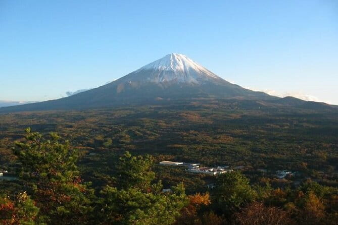 Private Tour of Mt. Fuji Culture and Nature Walk - Morning at Sankodai: the front-row Fuji view