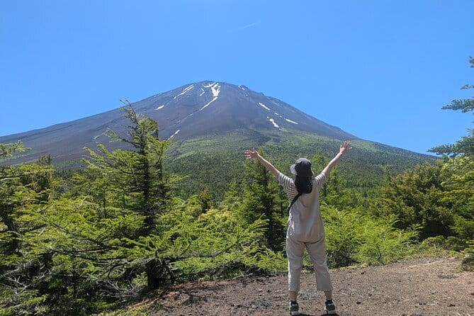 Private Tour of Mt. Fuji Culture and Nature Walk - Funatsu Tainai Jugata Lava Tree Mold: go inside the pilgrimage past