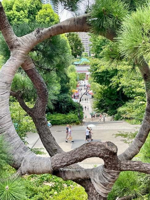 Private Tour Through the Tokyo National Museum & Ukiyo-e - Value check: why $74 can make sense here