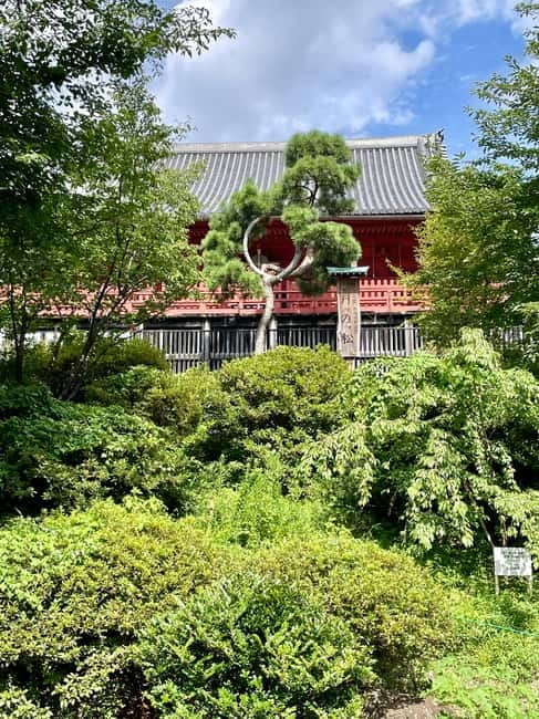 Private Tour Through the Tokyo National Museum & Ukiyo-e - Who should book this Tokyo National Museum & Ukiyo-e tour?