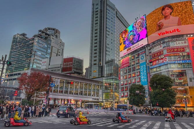 Private Tour with a Local Guide - Learn about daily life in Japan - Key Highlights Worth Your Time