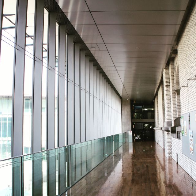 Private Ueno Park Architecture Tour - International Library of Children’s Literature: preservation and an arch-shaped annex