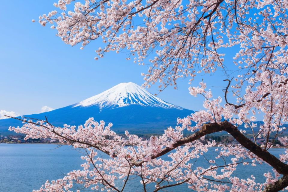 Seasonal Mt. Fuji Scenic Views, Fruit Picking and Ropeway! - Oishi Park and the Seasonal View Plan (Why This Tour Changes by Month)