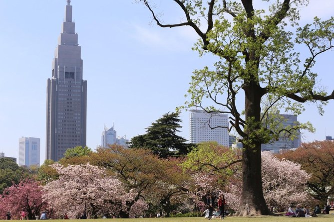 Shared Arrival Transfer : Narita International Airport to Hotel (Central Tokyo) - English Support, Sign Boards, and Emergency Backup