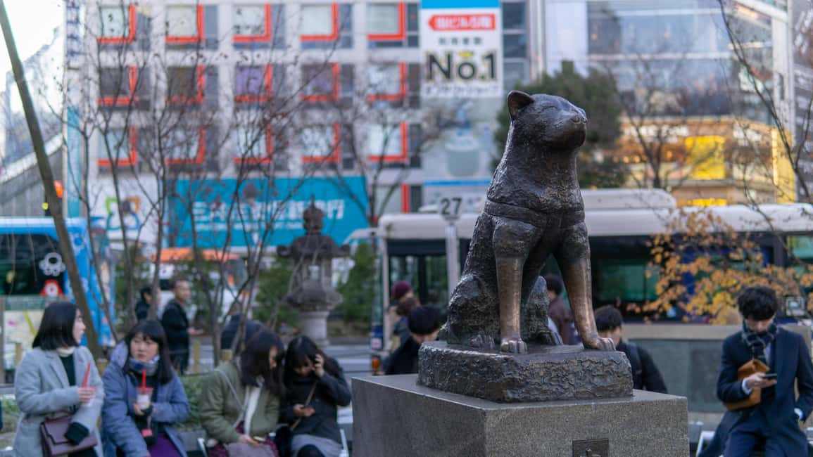 Shibuya: Crossing, Hachiko & Shibuya Sky Guided Tour - Shibuya Parco and CyberSpace: Nintendo and Pokémon shopping time