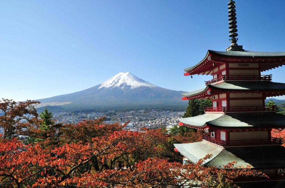 Sightseeing Day Trip to Mount Fuji and Hakone Green Number - Mt. Fuji 5th Station: the highlight that requires a little patience