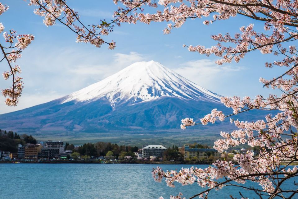Sightseeing Day Trip to Mount Fuji and Hakone Green Number - Price and logistics: is $419 per group up to 5 good value?