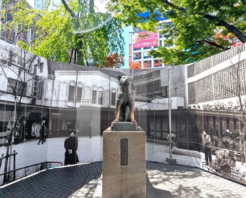 This is Real TOKYO!! SHIBUYA Tour from TGP!! - Shibuya Center Street, Yokocho, and the quick reset in Miyashita Park
