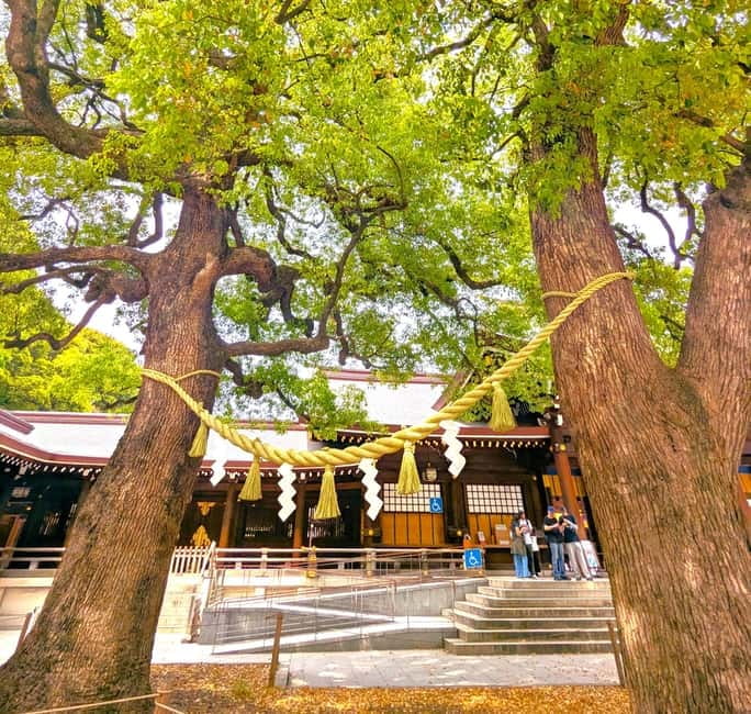 This is Real TOKYO!! SHIBUYA Tour from TGP!! - Omotesando to Meiji Shrine: contrast that stops you mid-sentence