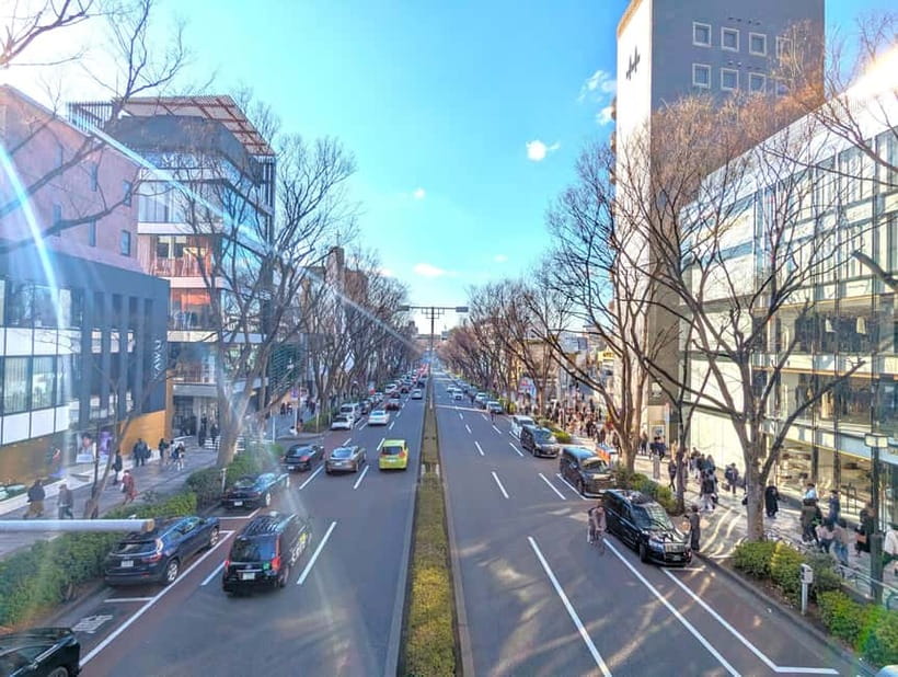 This is Real TOKYO!! SHIBUYA Tour from TGP!! - The guide and photo service: what makes it feel worth it