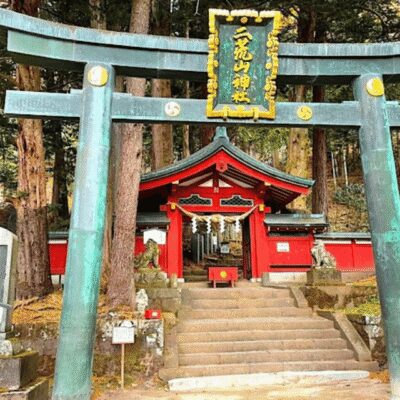 Tokyo → Nikko:Private Customizable Day Trip (English Driver) - The car: comfort that actually matters for a 10-hour day