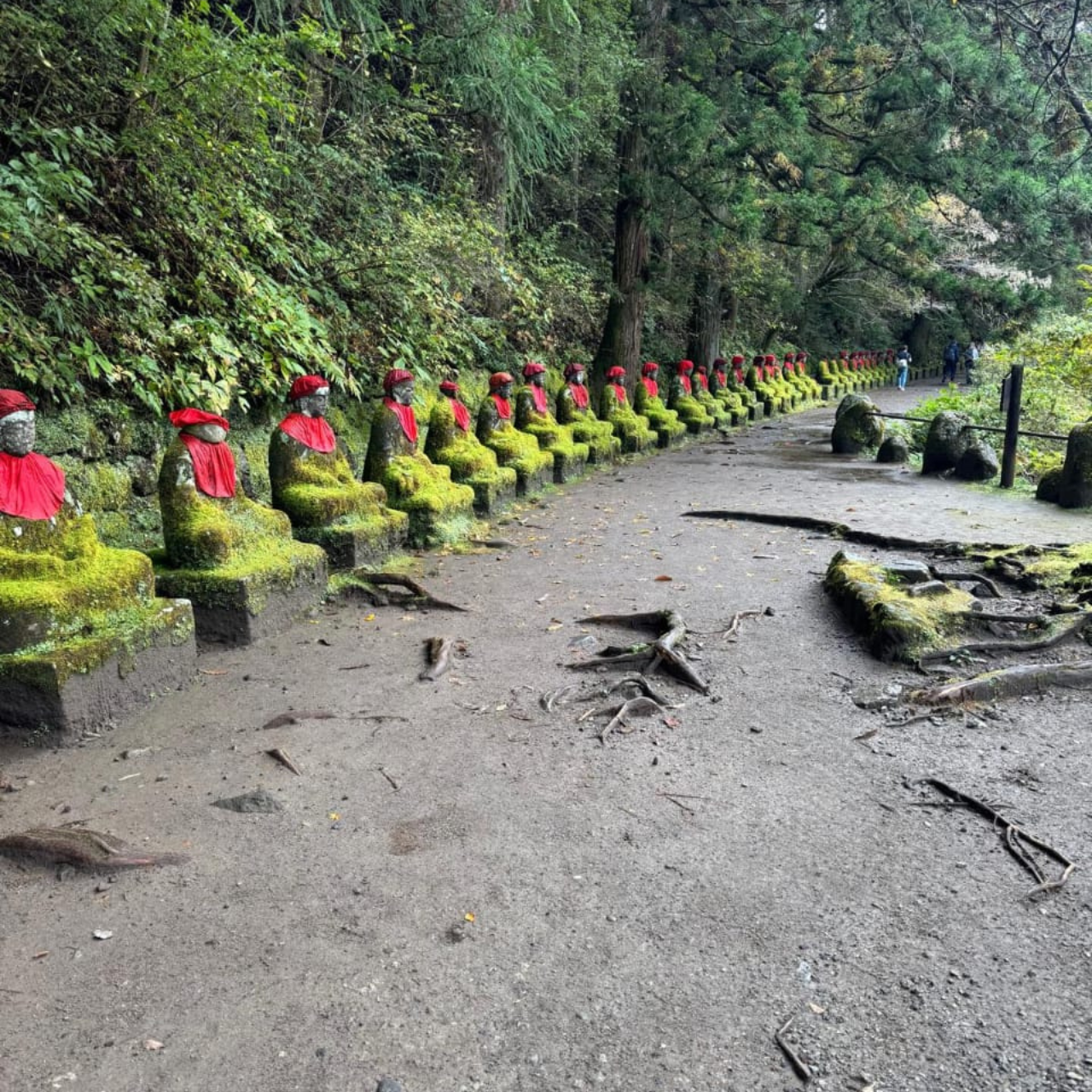 Tokyo → Nikko:Private Customizable Day Trip (English Driver) - Lake Chūzenji: the calm reset before the big temples and crowds