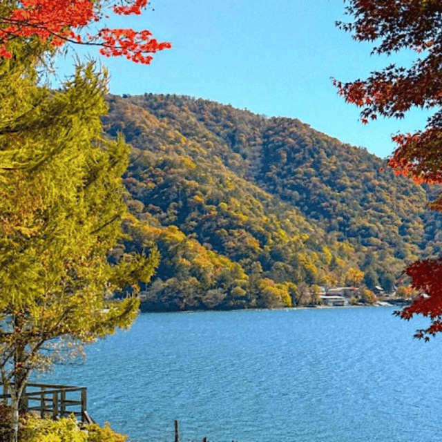 Tokyo → Nikko:Private Customizable Day Trip (English Driver) - Nikkō National Park: forests and nature without the logistics headache