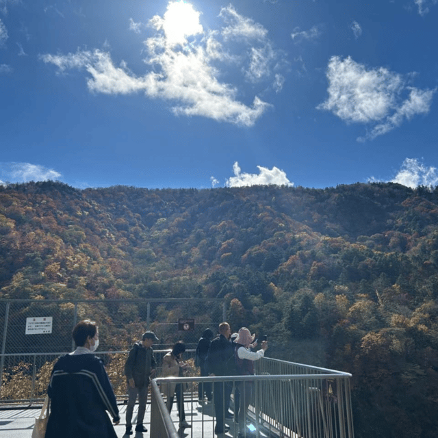 Tokyo → Nikko:Private Customizable Day Trip (English Driver) - Nikko Toshogu Shrine: Edo-era artistry you can see with your own eyes