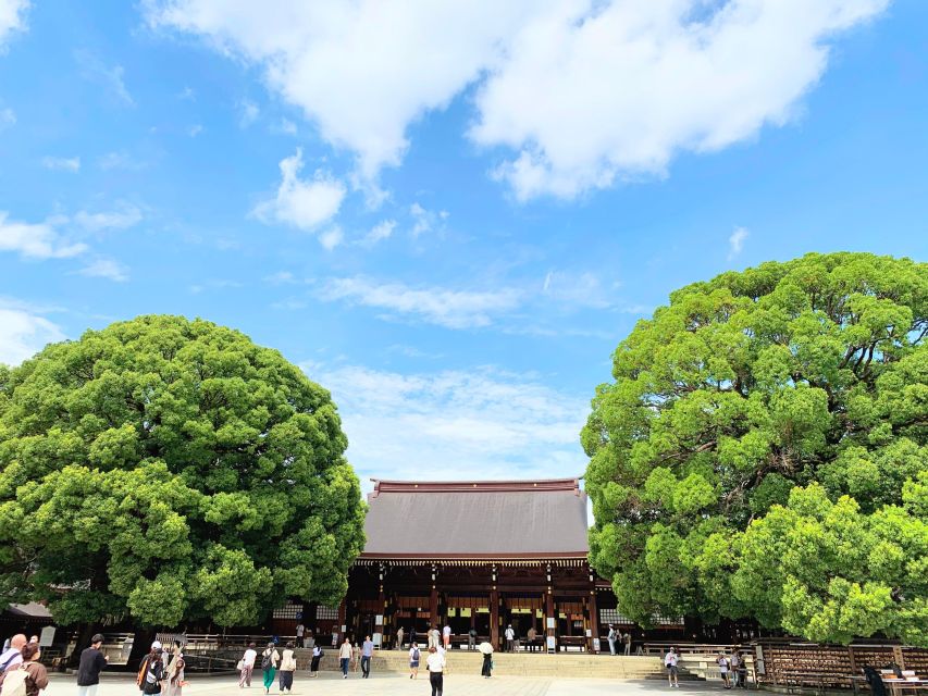 Tokyo: 1-Day Tokyo Private Tailor-made Tour - Food and timing: lunch, dinner, and smart suggestions