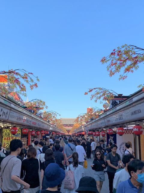 Tokyo: 1-Day Tokyo Private Tailor-made Tour - Meiji Jingu Shrine and Shibuya Crossing: forest calm to modern intensity