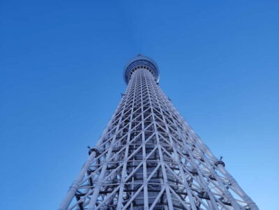 Tokyo: 3 Towers Tour – A Sky-High View of the City - Tokyo Metropolitan Government Building: 45 floors up, with Fuji on the horizon