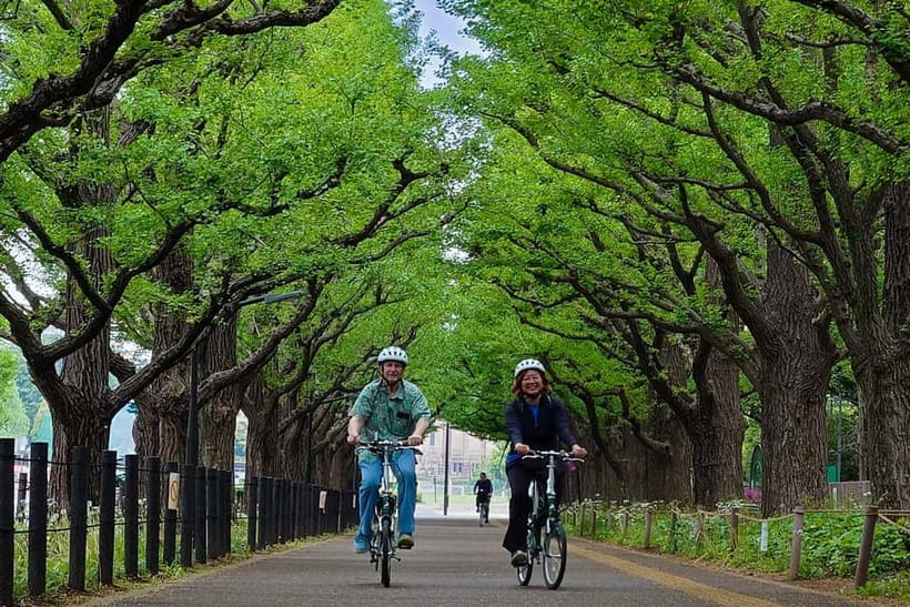 Tokyo: 3h Private E-bike Tours, Starting at Your Hotel - E-bikes in Tokyo: more freedom, less fatigue