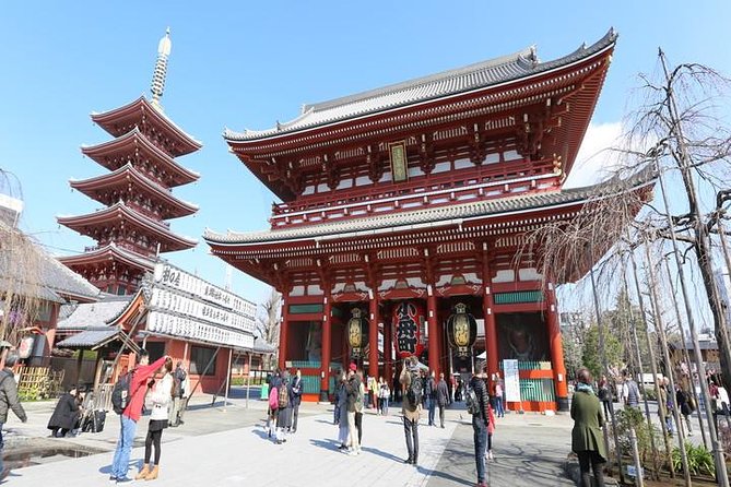 Tokyo 6hr Private Guided Tour & Japanese Sweets Making Experience - Tsukiji Fish Market: Food Focus and a Local-Style Stroll