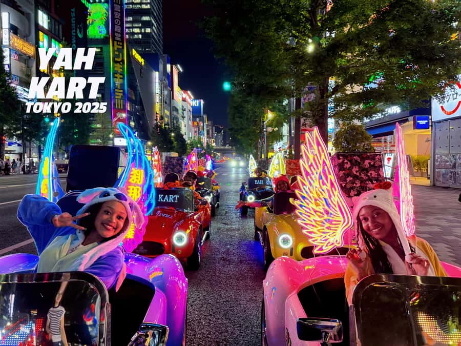 Tokyo: Akihabara/Asakusa Go-Karting Tour (including guide) - IDP, JAF, and the License Check You Must Pass
