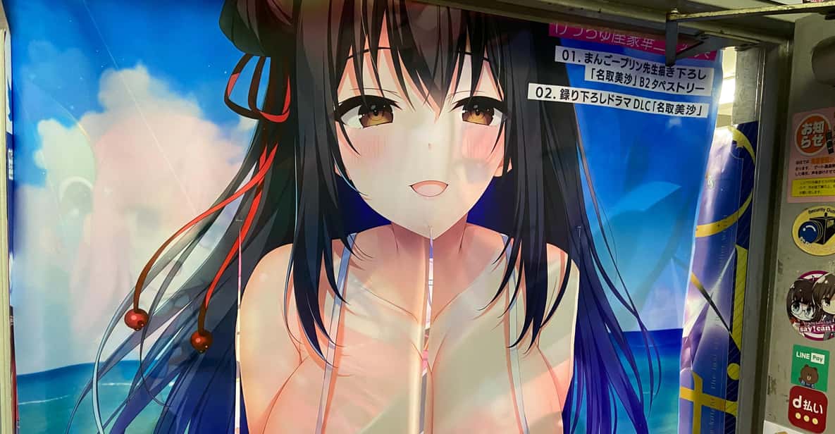 Tokyo: Akihabara Private Hentai Tour - Video games, manga, and anime stores: what to look for