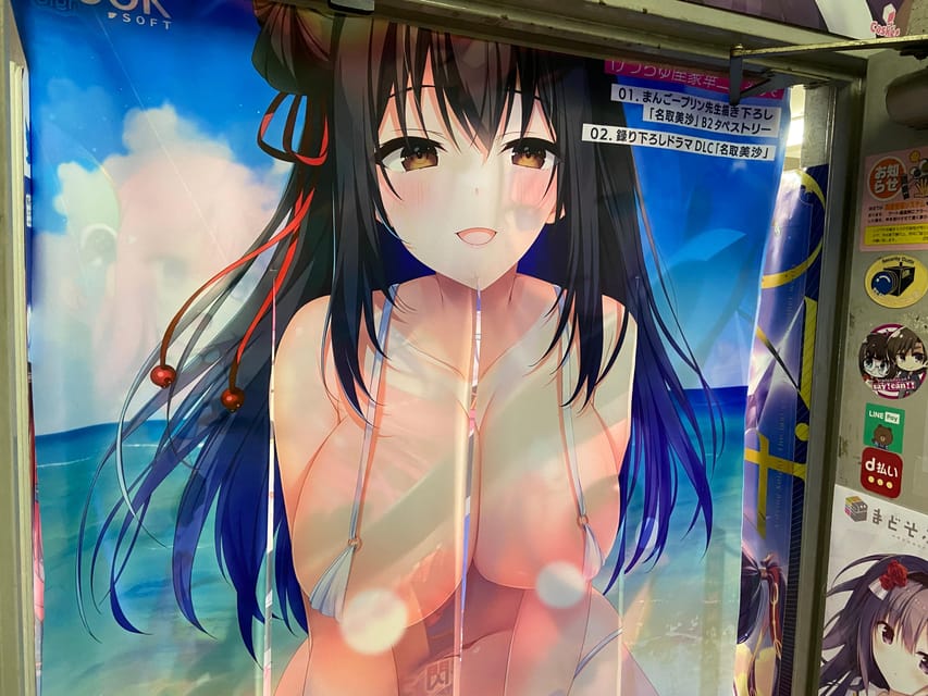 Tokyo: Akihabara Private Hentai Tour - Akihabara shopping with a plan you control