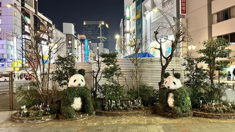 Tokyo: Akihabara, Shibuya, Karaoke & City Lights Night Tour - Key things that make this Tokyo night tour work
