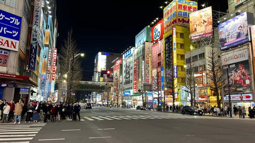 Tokyo: Akihabara, Shibuya, Karaoke & City Lights Night Tour - Akihabara free time: electronics and anime hunting with guidance