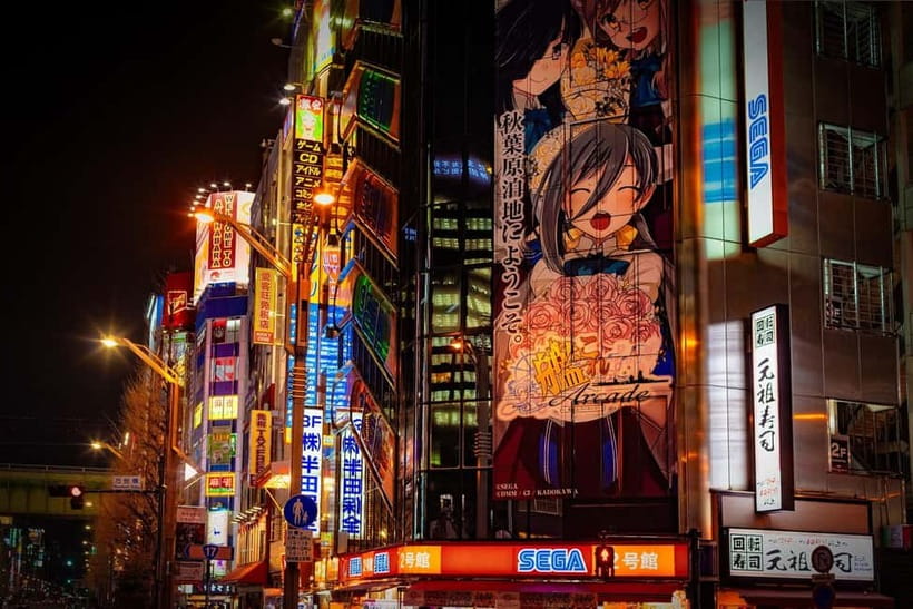 Tokyo: Akihabara, Shibuya, Karaoke & City Lights Night Tour - Karaoke in Shinjuku: the fun part you can actually control