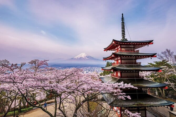 Tokyo: Asakusa Temple & Shrine Walking Tour with Local Guide - Photo timing, crowd management, and why the guide matters
