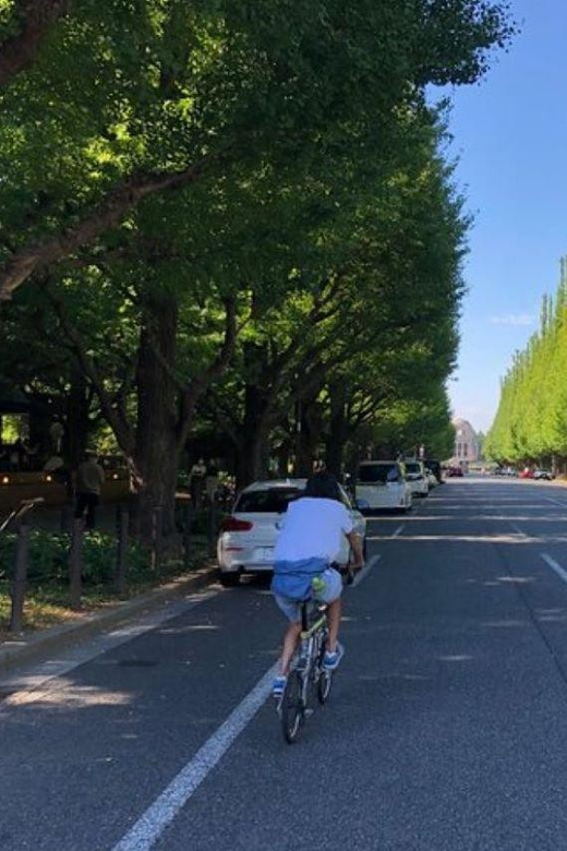 Tokyo Bike Tour: Shibuya, Harajuku & Hidden Gems - Meiji Jingu Gaien Ginkgo Avenue and Japan National Stadium