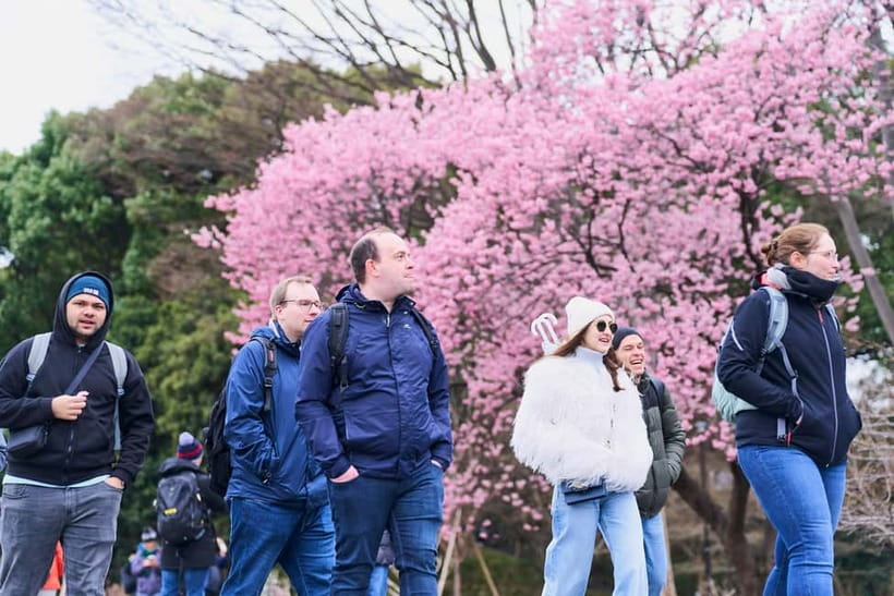 Tokyo Castle & Imperial PalaceーShogun Walking Tour - Edo Castle Still Shapes Tokyo: Start With the Big Picture