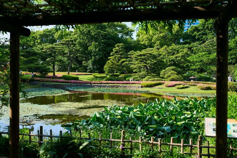 Tokyo Castle & Imperial PalaceーShogun Walking Tour - Imperial Palace East Gardens: Koi Fish, Trees From Across Japan, and Real Relax Time