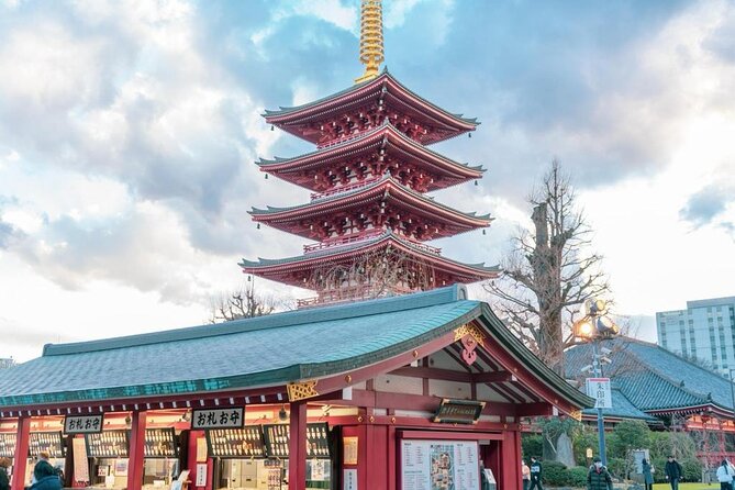 Tokyo City Attractive One Day Tour - Who Should Book This Private Tokyo Highlights Tour
