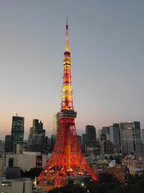 Tokyo: City Tour Tokyo With Driver - Price and value: $377 for up to 5, and what you actually get