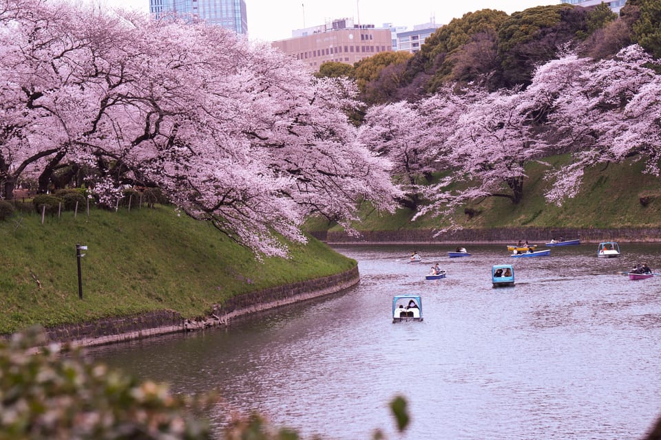 Tokyo: City Tour Tokyo With Driver - Harajuku Takeshita Street and Shibuya Crossing: street culture to iconic crowds