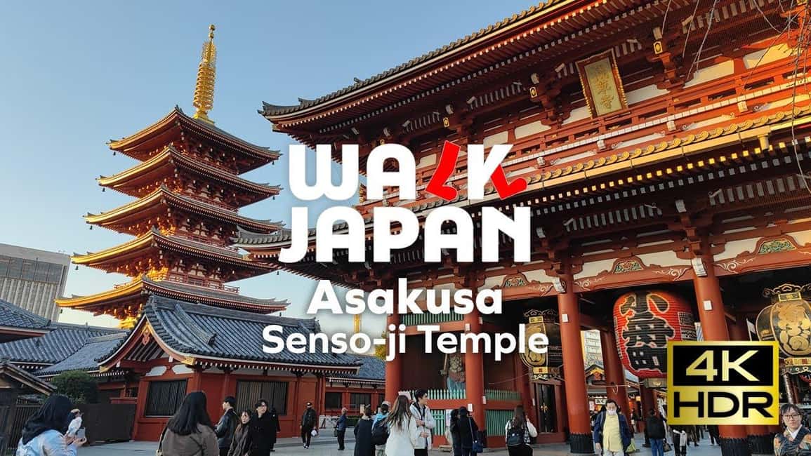 Tokyo: Customizable Day Trip Within Tokyo & English-Driver - Key highlights that matter on the ground