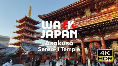 Tokyo: Customizable Day Trip Within Tokyo & English-Driver - Pickup, parking, and the comfort factor you’ll actually notice
