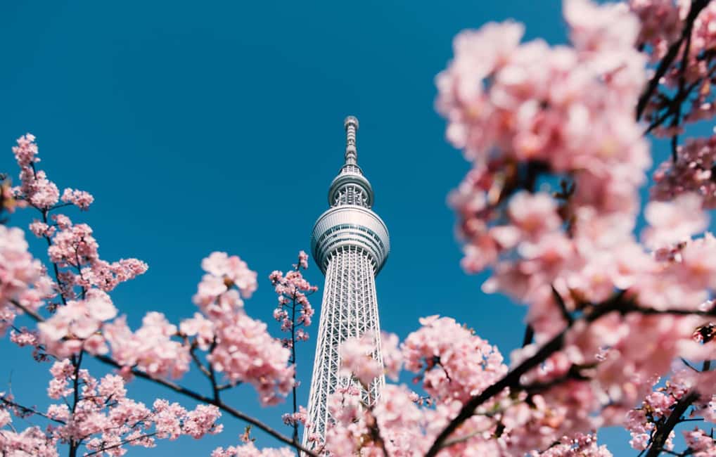 Tokyo: Customizable Day Trip Within Tokyo & English-Driver - Tokyo Skytree photo stop: go early for the cleanest skyline