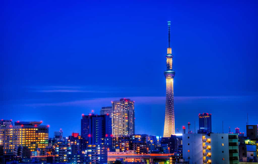 Tokyo: Customizable Day Trip Within Tokyo & English-Driver - Sumida River cruise and Rainbow Bridge: your best break from crowds
