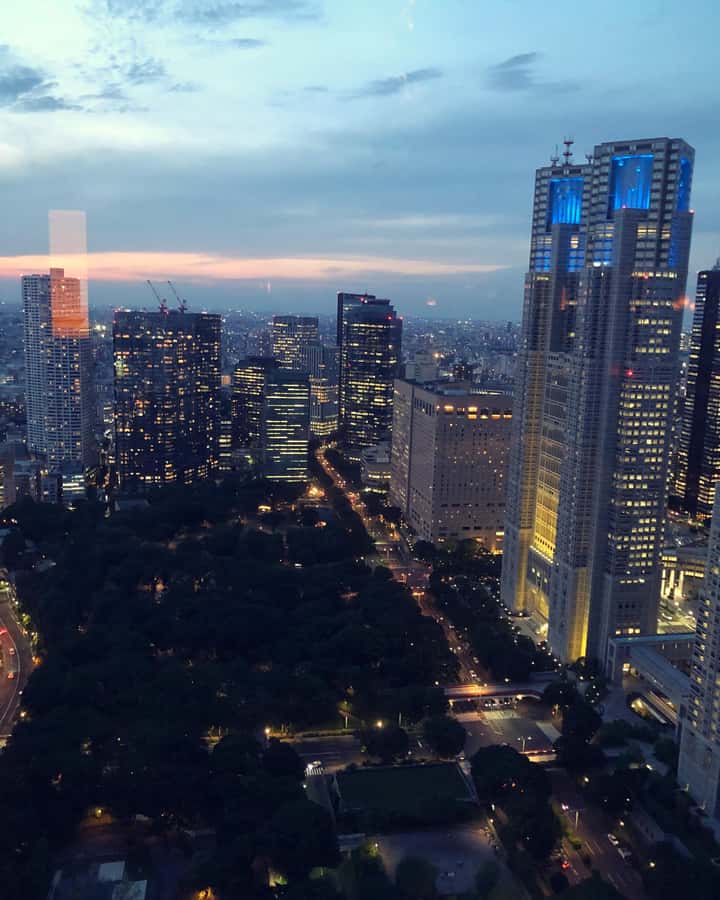 Tokyo: Customizable Day Trip Within Tokyo & Its Attractions - Key highlights at a glance