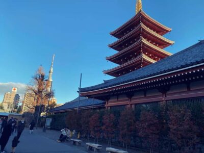 Tokyo: Customizable Day Trip Within Tokyo & Its Attractions - Price and Value: What $404 Per Group Really Buys