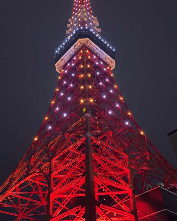 Tokyo: Customizable Day Trip Within Tokyo & Its Attractions - Customization on the Ground: You Set the Priorities, They Fit the Day
