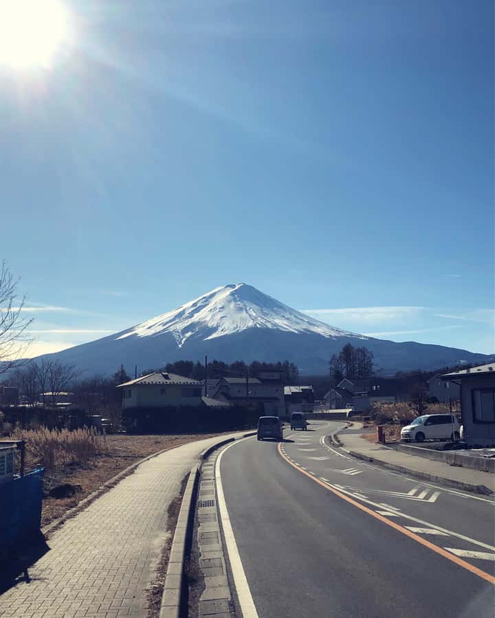 Tokyo: Customizable Day Trip Within Tokyo & Its Attractions - Comfort and Photo Help: Why the Driver Changes Everything