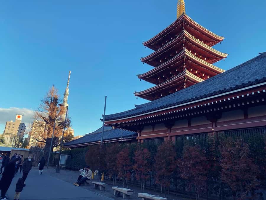 Tokyo: Customizable Day Trip Within Tokyo & Its Attractions - Price and Value: What $404 Per Group Really Buys