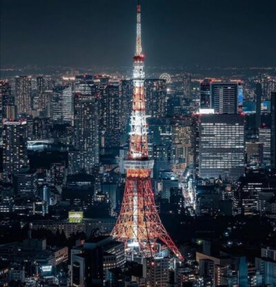 Tokyo Customizable Private Tour by Car & Van - Tsukiji Outer Market: easy orientation and serious snack potential