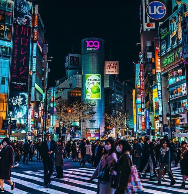 Tokyo Customizable Private Tour by Car & Van - How customizable really works: great drivers vs. route uncertainty