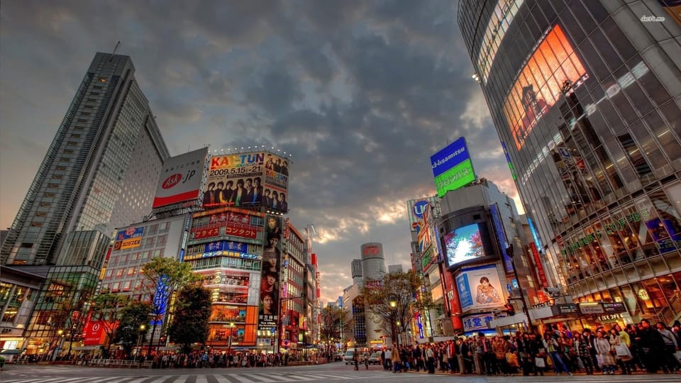 Tokyo: Customized Private Tour with a Local Guide - Price and what you’re really paying for ($85 per person)