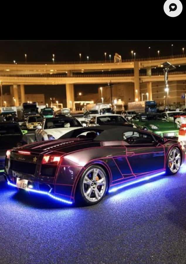 Tokyo: Daikoku JDM Car Culture Tour - Highway sightseeing that actually feels like Tokyo: C1 Loop, Wangan, and Rainbow Bridge
